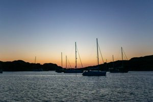 IMG_7292.jpg