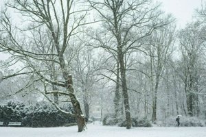 IMG_0207.jpg