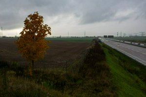 IMG_6761.jpg