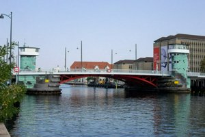 IMG_8534.jpg