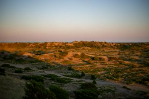 IMG_7491.jpg