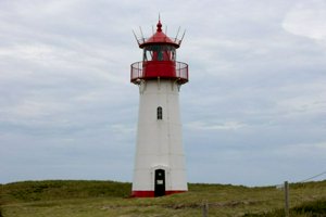 IMG_9901.jpg