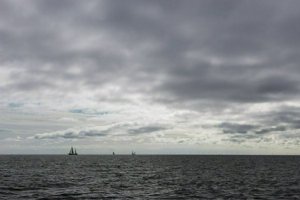 IMG_2197.jpg