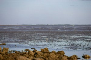 IMG_6904.jpg