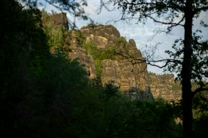 IMG_1214.jpg