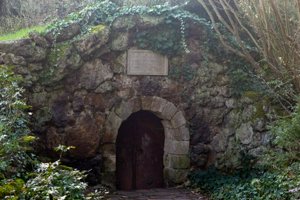 IMG_7333.jpg