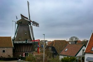 IMG_9605.jpg