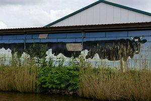 IMG_0759.jpg