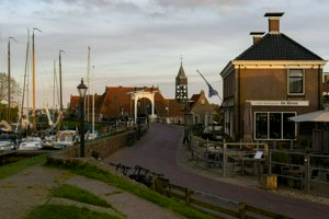 IMG_2467.jpg