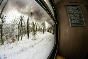 IMG_2413.jpg