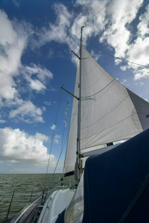 IMG_3083.jpg
