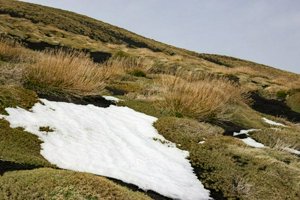 IMG_9491.jpg