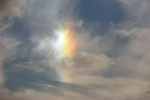 IMG_6911.jpg