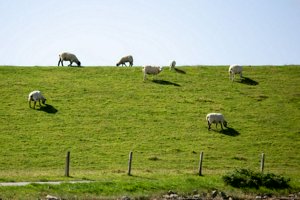 IMG_6679.jpg