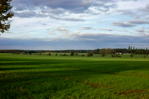IMG_8475.jpg