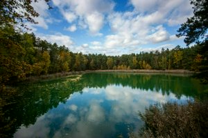 IMG_8257.jpg