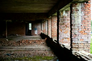 IMG_2828.jpg