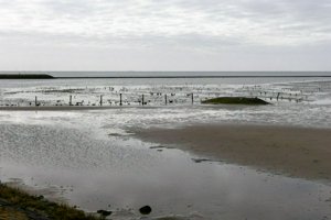 IMG_5725.jpg