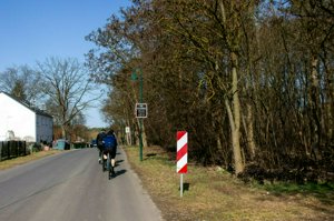 IMG_1175.jpg