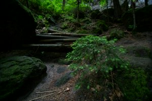 IMG_1761.jpg