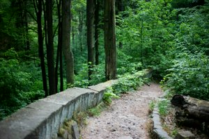 IMG_1376.jpg