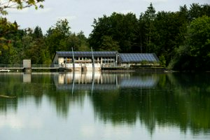 IMG_5089.jpg