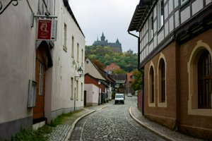 IMG_9767.jpg