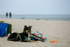 IMG_9974.jpg