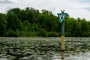 IMG_7658.jpg