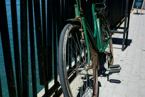 IMG_9705.jpg