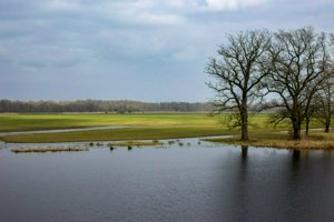 IMG_7231.jpg