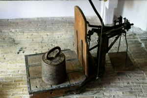 IMG_1302.jpg