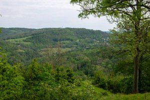 IMG_0807.jpg