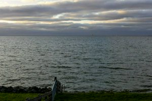 IMG_2384.jpg