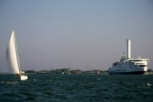 IMG_8795.jpg