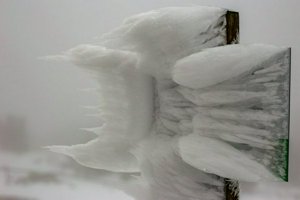 IMG_1384.jpg