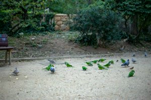 IMG_8686.jpg