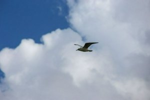 IMG_6774.jpg