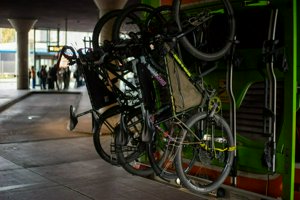 IMG_4935.jpg