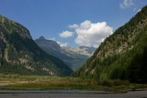 IMG_5998.jpg