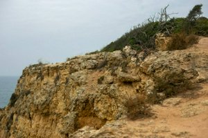 IMG_6898.jpg