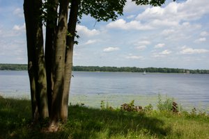 IMG_6081.jpg