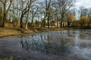 IMG_4012.jpg