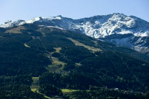IMG_1348.jpg