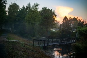 IMG_2049.jpg