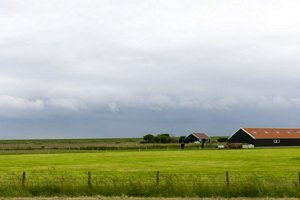 IMG_9543.jpg