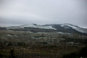 IMG_1240.jpg