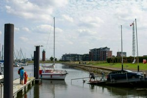IMG_6564.jpg