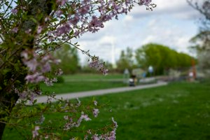 IMG_8187.jpg
