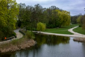 IMG_9653.jpg